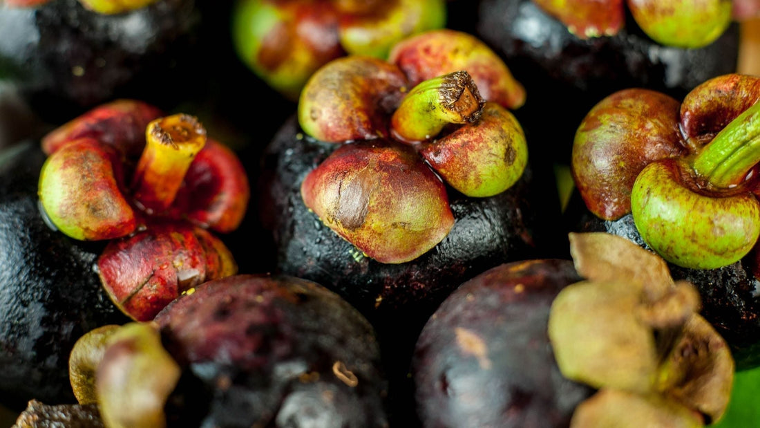 The Importance of Antioxidants for Your Health