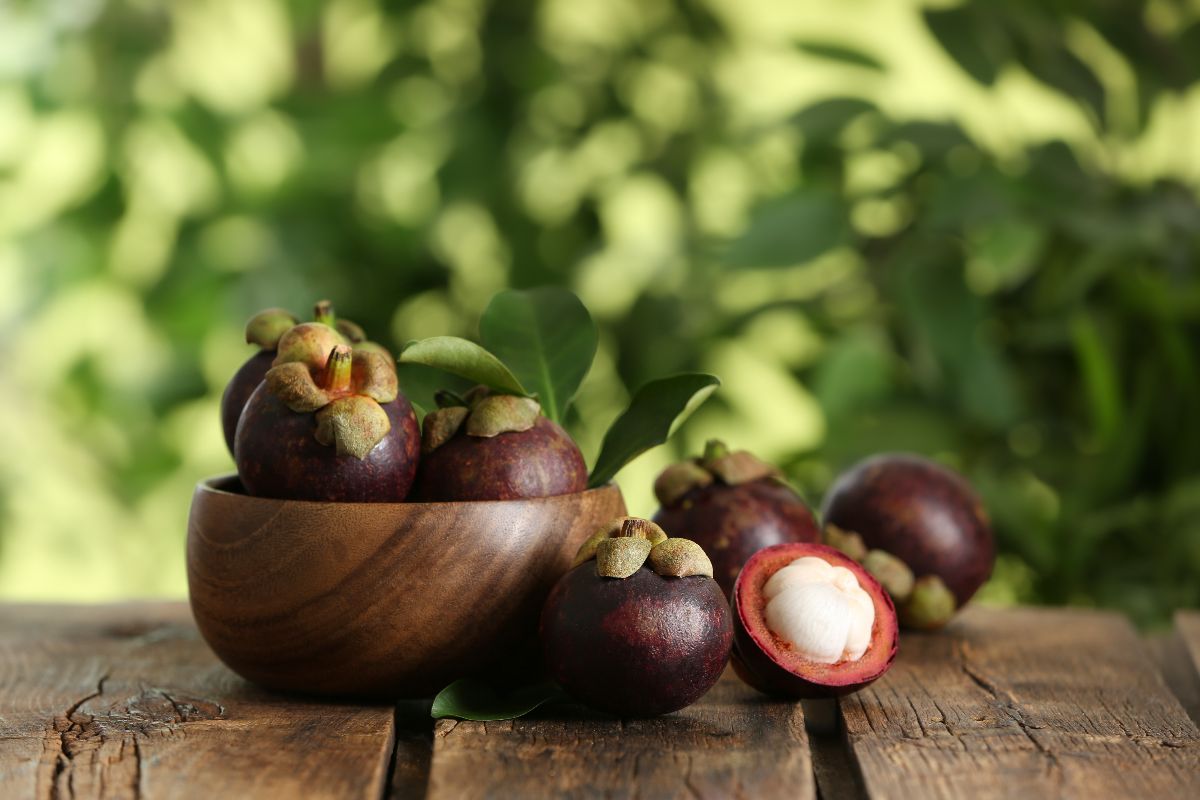 5 Essential Nutrients for a Healthier Lifestyle – Healthmax Care