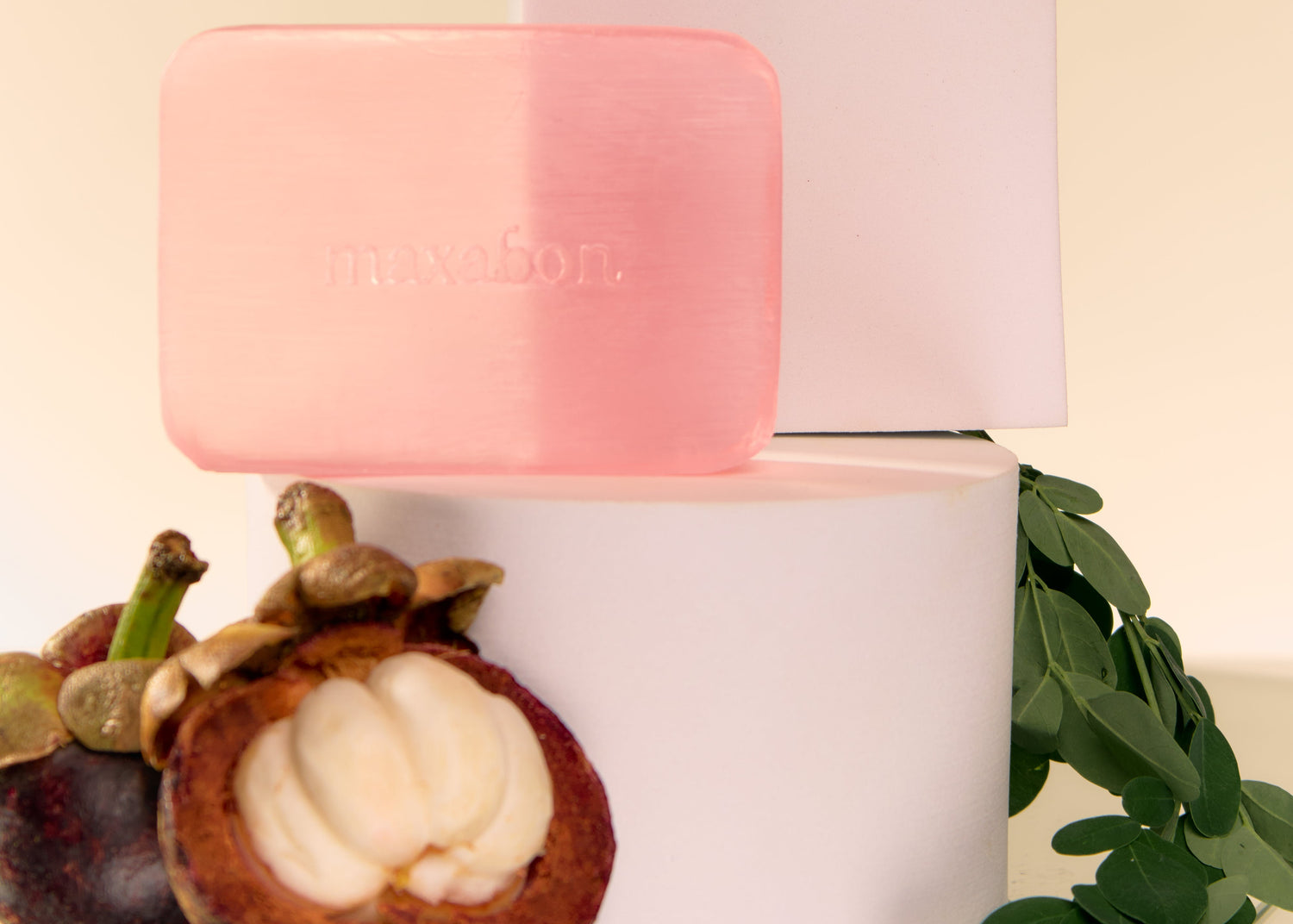 Maxabon natural soap with mangosteen and moringa