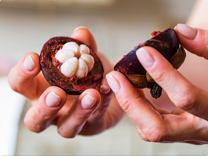 Mangosteen_and_gut_microbiota