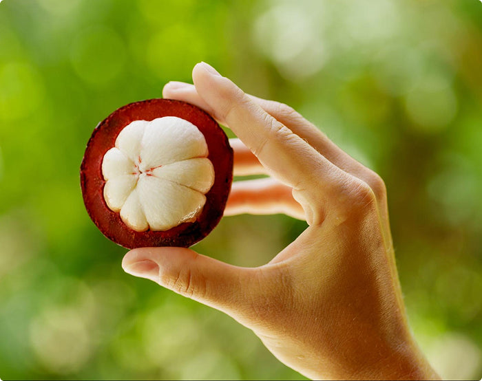 Potential_prebiotic_effects